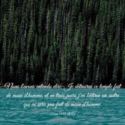 Picture 03 - Marc 14:58 LSG - Nous l'avons entendu dire: Je détruirai ce - Bible Verse Picture
