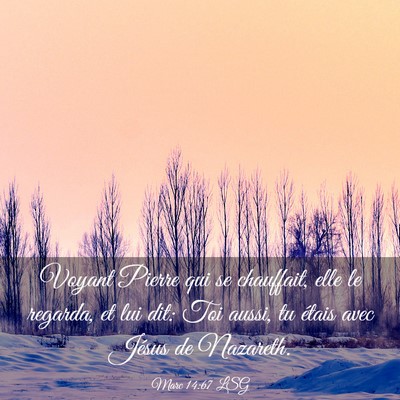Picture 03 - Marc 14:67 LSG - Voyant Pierre qui se chauffait, elle le regarda, - Bible Verse Picture