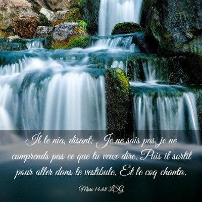 Picture 03 - Marc 14:68 LSG - Il le nia, disant: Je ne sais pas, je ne - Bible Verse Picture