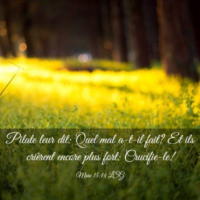 Picture 03 - Marc 15:14 LSG - Pilate leur dit: Quel mal a-t-il fait? Et ils - Bible Verse Picture