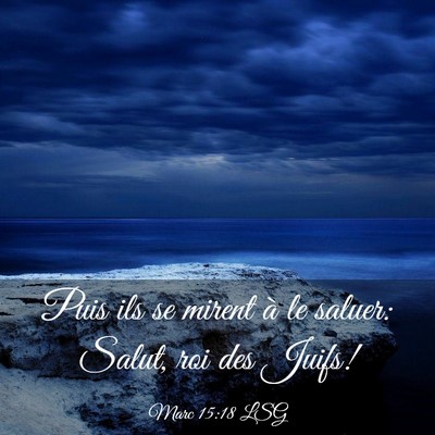 Picture 03 - Marc 15:18 LSG - Puis ils se mirent à le saluer: Salut, roi des - Bible Verse Picture
