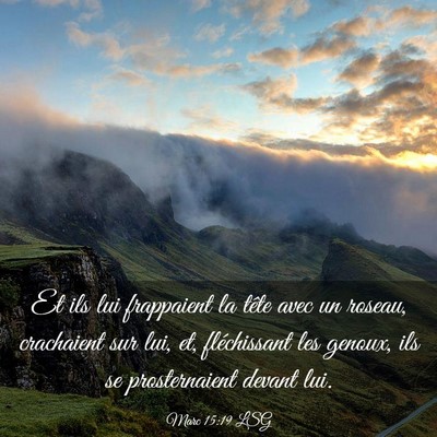 Picture 03 - Marc 15:19 LSG - Et ils lui frappaient la tête avec un roseau, - Bible Verse Picture