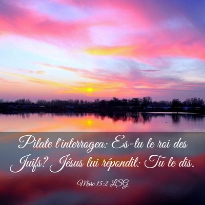 Picture 03 - Marc 15:2 LSG - Pilate l'interrogea: Es-tu le roi des Juifs? - Bible Verse Picture