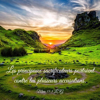 Picture 03 - Marc 15:3 LSG - Les principaux sacrificateurs portaient contre - Bible Verse Picture