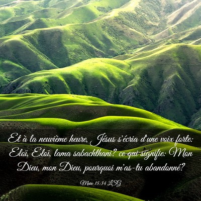Picture 03 - Marc 15:34 LSG - Et à la neuvième heure, Jésus s'écria d'une - Bible Verse Picture