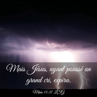 Picture 03 - Marc 15:37 LSG - Mais Jésus, ayant poussé un grand cri, - Bible Verse Picture