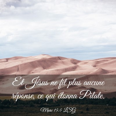 Picture 03 - Marc 15:5 LSG - Et Jésus ne fit plus aucune réponse, ce qui - Bible Verse Picture