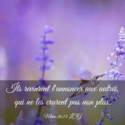 Picture 03 - Marc 16:13 LSG - Ils revinrent l'annoncer aux autres, qui ne les - Bible Verse Picture