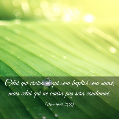 Picture 03 - Marc 16:16 LSG - Celui qui croira et qui sera baptisé sera - Bible Verse Picture