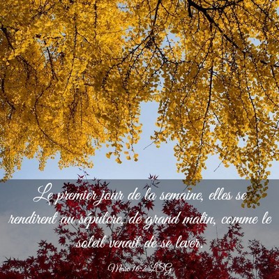 Picture 03 - Marc 16:2 LSG - Le premier jour de la semaine, elles se rendirent - Bible Verse Picture