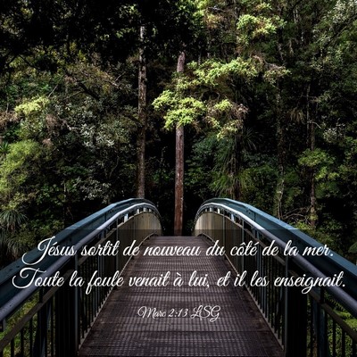 Picture 03 - Marc 2:13 LSG - Jésus sortit de nouveau du côté de la mer. - Bible Verse Picture