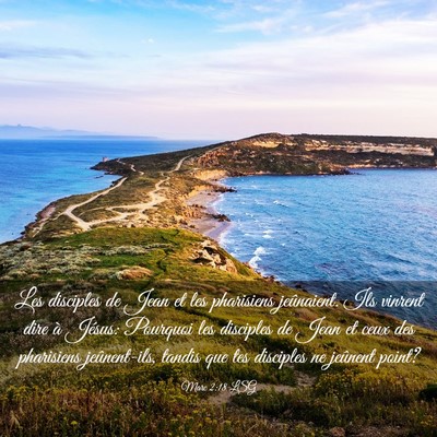 Picture 03 - Marc 2:18 LSG - Les disciples de Jean et les pharisiens - Bible Verse Picture