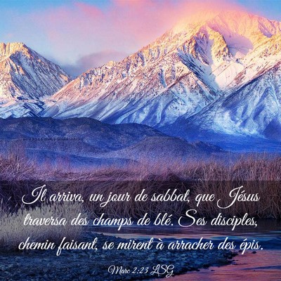 Picture 03 - Marc 2:23 LSG - Il arriva, un jour de sabbat, que Jésus traversa - Bible Verse Picture