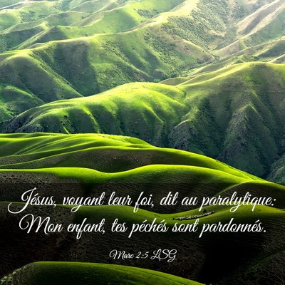 Picture 03 - Marc 2:5 LSG - Jésus, voyant leur foi, dit au paralytique: Mon - Bible Verse Picture