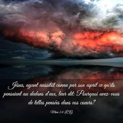 Picture 03 - Marc 2:8 LSG - Jésus, ayant aussitôt connu par son esprit ce - Bible Verse Picture