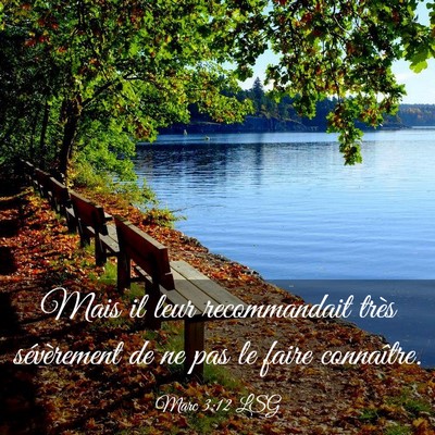 Picture 03 - Marc 3:12 LSG - Mais il leur recommandait très sévèrement de - Bible Verse Picture
