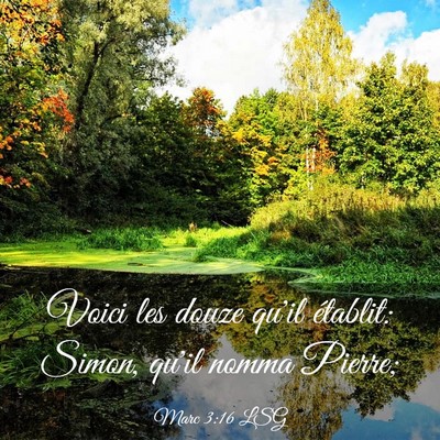 Picture 03 - Marc 3:16 LSG - Voici les douze qu'il établit: Simon, qu'il - Bible Verse Picture