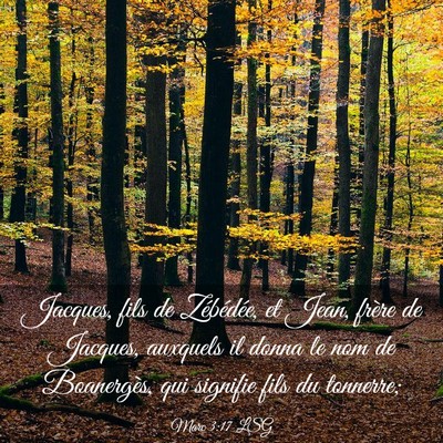 Picture 03 - Marc 3:17 LSG - Jacques, fils de Zébédée, et Jean, frère de - Bible Verse Picture