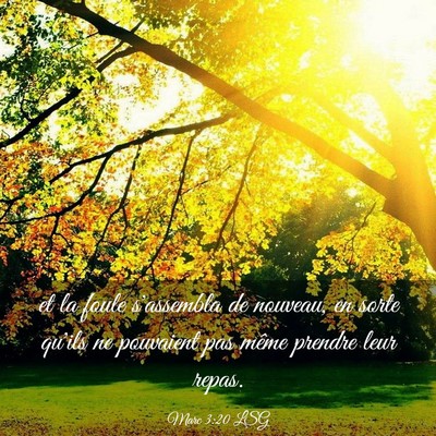 Picture 03 - Marc 3:20 LSG - et la foule s'assembla de nouveau, en sorte - Bible Verse Picture
