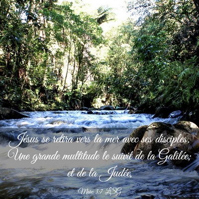 Picture 03 - Marc 3:7 LSG - Jésus se retira vers la mer avec ses disciples. - Bible Verse Picture