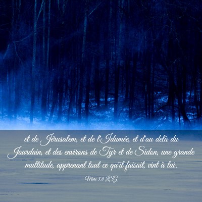 Picture 03 - Marc 3:8 LSG - et de Jérusalem, et de l'Idumée, et d'au delà - Bible Verse Picture