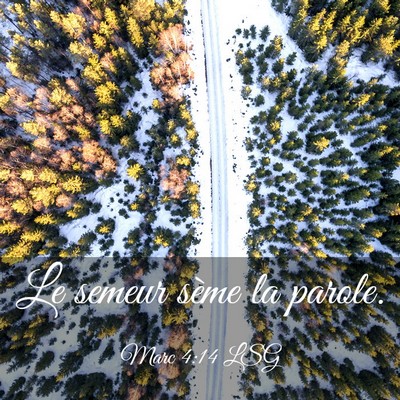 Picture 03 - Marc 4:14 LSG - Le semeur sème la - Bible Verse Picture
