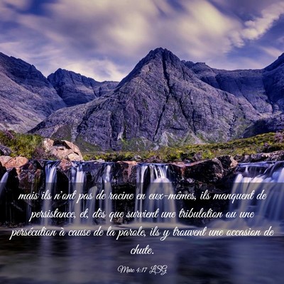 Picture 03 - Marc 4:17 LSG - mais ils n'ont pas de racine en eux-mêmes, ils - Bible Verse Picture