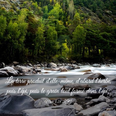 Picture 03 - Marc 4:28 LSG - La terre produit d'elle-même, d'abord l'herbe, - Bible Verse Picture