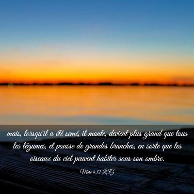 Picture 03 - Marc 4:32 LSG - mais, lorsqu'il a été semé, il monte, devient - Bible Verse Picture