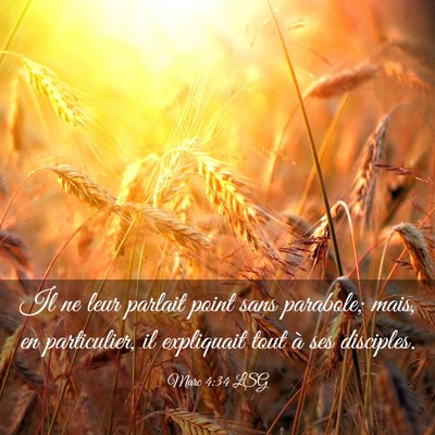 Picture 03 - Marc 4:34 LSG - Il ne leur parlait point sans parabole; mais, en - Bible Verse Picture