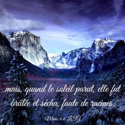 Picture 03 - Marc 4:6 LSG - mais, quand le soleil parut, elle fut brûlée et - Bible Verse Picture