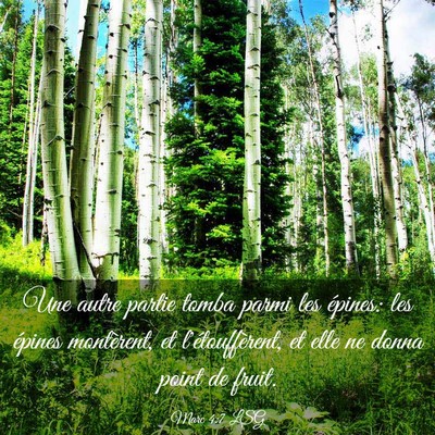 Picture 03 - Marc 4:7 LSG - Une autre partie tomba parmi les épines: les - Bible Verse Picture