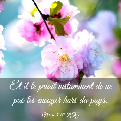 Picture 03 - Marc 5:10 LSG - Et il le priait instamment de ne pas les envoyer - Bible Verse Picture