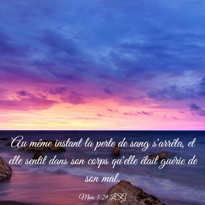 Picture 03 - Marc 5:29 LSG - Au même instant la perte de sang s'arrêta, et - Bible Verse Picture