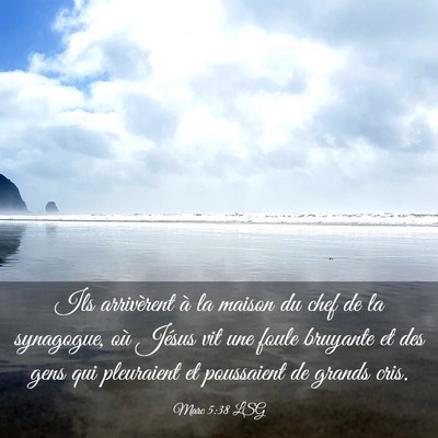 Picture 03 - Marc 5:38 LSG - Ils arrivèrent à la maison du chef de la - Bible Verse Picture