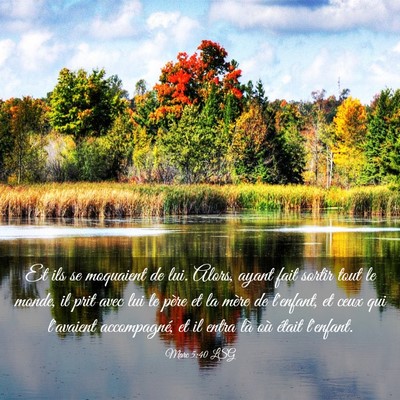 Picture 03 - Marc 5:40 LSG - Et ils se moquaient de lui. Alors, ayant fait - Bible Verse Picture