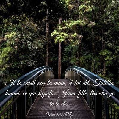 Picture 03 - Marc 5:41 LSG - Il la saisit par la main, et lui dit: Talitha - Bible Verse Picture