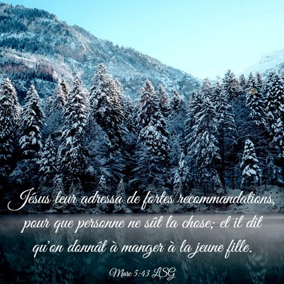 Picture 03 - Marc 5:43 LSG - Jésus leur adressa de fortes recommandations, - Bible Verse Picture