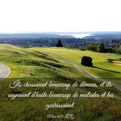 Picture 03 - Marc 6:13 LSG - Ils chassaient beaucoup de démons, et ils - Bible Verse Picture