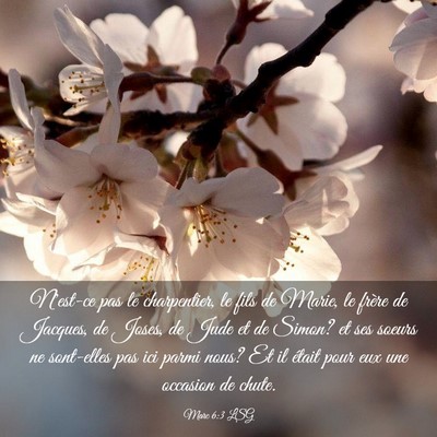 Picture 03 - Marc 6:3 LSG - N'est-ce pas le charpentier, le fils de Marie, le - Bible Verse Picture