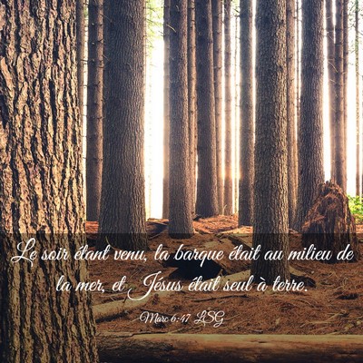 Picture 03 - Marc 6:47 LSG - Le soir étant venu, la barque était au milieu - Bible Verse Picture
