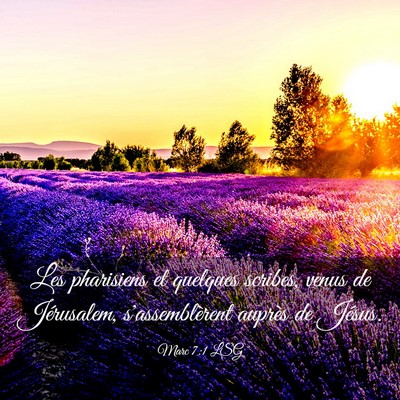 Picture 03 - Marc 7:1 LSG - Les pharisiens et quelques scribes, venus de - Bible Verse Picture
