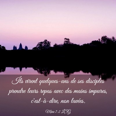 Picture 03 - Marc 7:2 LSG - Ils virent quelques-uns de ses disciples prendre - Bible Verse Picture