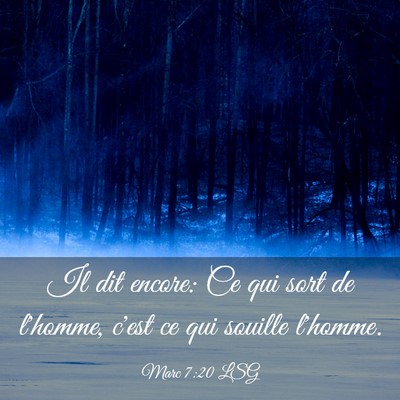 Picture 03 - Marc 7:20 LSG - Il dit encore: Ce qui sort de l'homme, c'est ce - Bible Verse Picture
