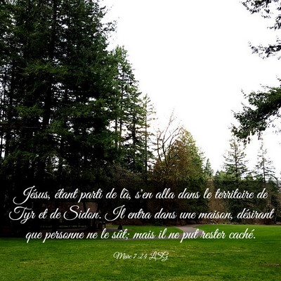 Picture 03 - Marc 7:24 LSG - Jésus, étant parti de là, s'en alla dans le - Bible Verse Picture