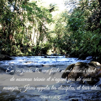 Picture 03 - Marc 8:1 LSG - En ces jours-là, une foule nombreuse s'étant de - Bible Verse Picture