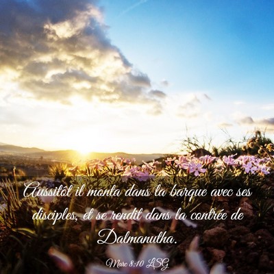 Picture 03 - Marc 8:10 LSG - Aussitôt il monta dans la barque avec ses - Bible Verse Picture