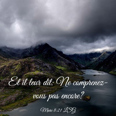 Picture 03 - Marc 8:21 LSG - Et il leur dit: Ne comprenez-vous pas - Bible Verse Picture