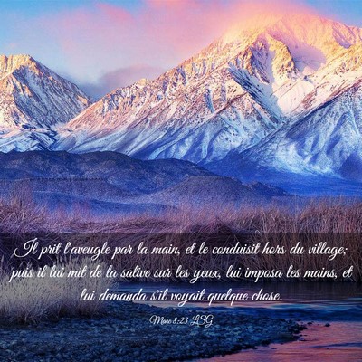 Picture 03 - Marc 8:23 LSG - Il prit l'aveugle par la main, et le conduisit - Bible Verse Picture