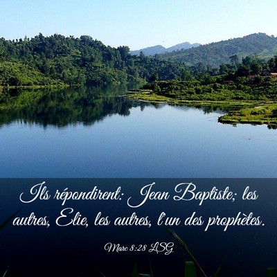 Picture 03 - Marc 8:28 LSG - Ils répondirent: Jean Baptiste; les autres, - Bible Verse Picture